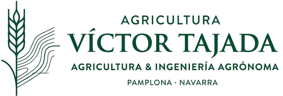 Gemini_Generated_Image_2azbbn2azbbn2azb (1)-Photoroom