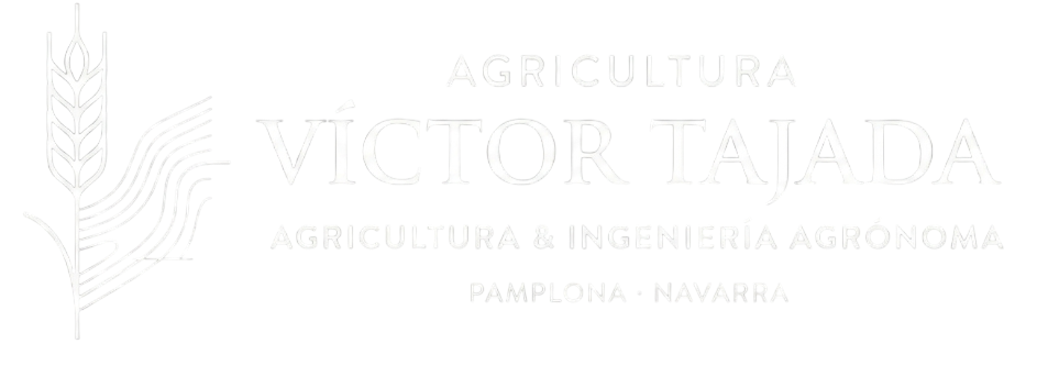 Gemini_Generated_Image_3lg4nk3lg4nk3lg4-Photoroom (1)